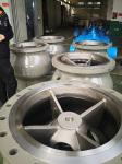 Maintenance Free Fire Safe Axial Flow Check Valve