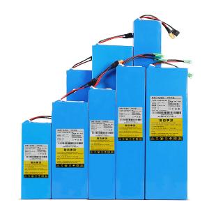 China Replacement Bird Razor Electric Scooter Battery 24V 36V 48V EVE 5.2Ah/7.8Ah wholesale