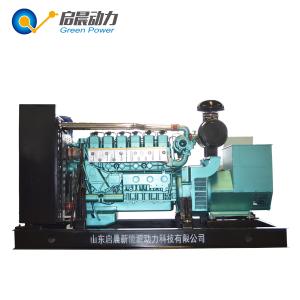 China Gas Turbine Generator CNG LNG LPG Generator 250kw wholesale