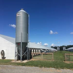China Modern Long Span Steel Construction Building High Capacity Prefabricated Poultry House wholesale