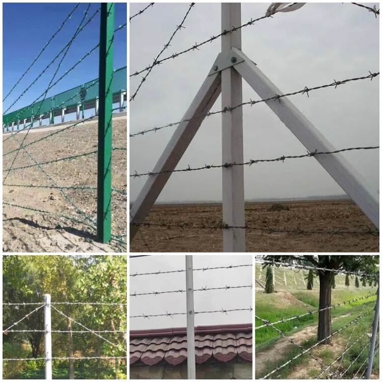 Galvanized Security Fencing Barbed Wire for Agricultural and Industrial 1.6mm Wire Diameter Barbed Point 4 Long-Lasting
