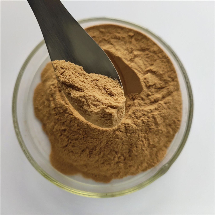 Anti Cancer Houttuynia Cordata Extract For Capsules