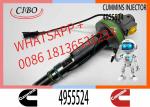 Neutral QSK19 QSK60 Fuel Injector F00BL0J019 2867149 4964173 4955527 4964170