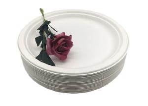 China 9 Inch Snack 100% Natural Sugarcane Compostable Plates wholesale