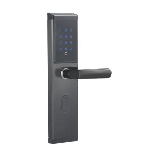 China WiFi Enabled Electronic Smart Lock Get This Function Via Gateway wholesale