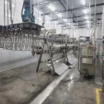 SS304 Automatic Slaughtering Machine Poultry Farming Equipment SONCAP Approval