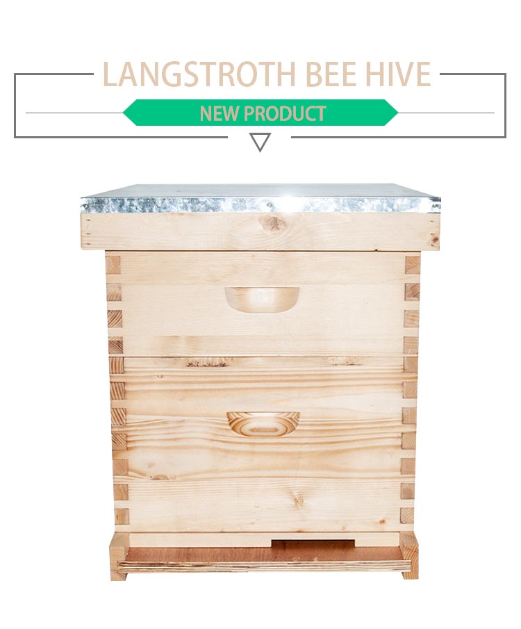 China Fir 20mm 8 Frame Langstroth Bee Hive