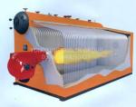 Double Drum Fire Tube Condensing Boiler Multi - Fuel Oil Fired steam Boiler