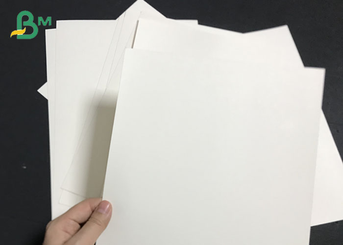 PE 1S 2S Laminated 270grams 300grams Bleached Cup Stock Board Rolls 36inches