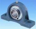 China Long Life Pillow Block Flange Bearing , Seal Pillow Block Roller Bearing wholesale