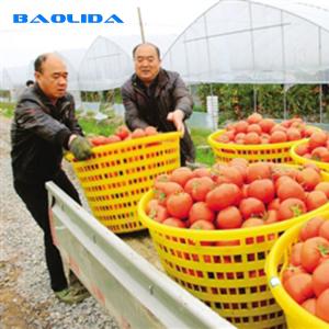 China Steel Structure Polythene Tunnel 4 Mil Plastic Sheeting Greenhouse wholesale