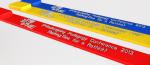 Embossed Logo Silicone Wristband USB Drive Bracelet 4G 16G FCC Approved