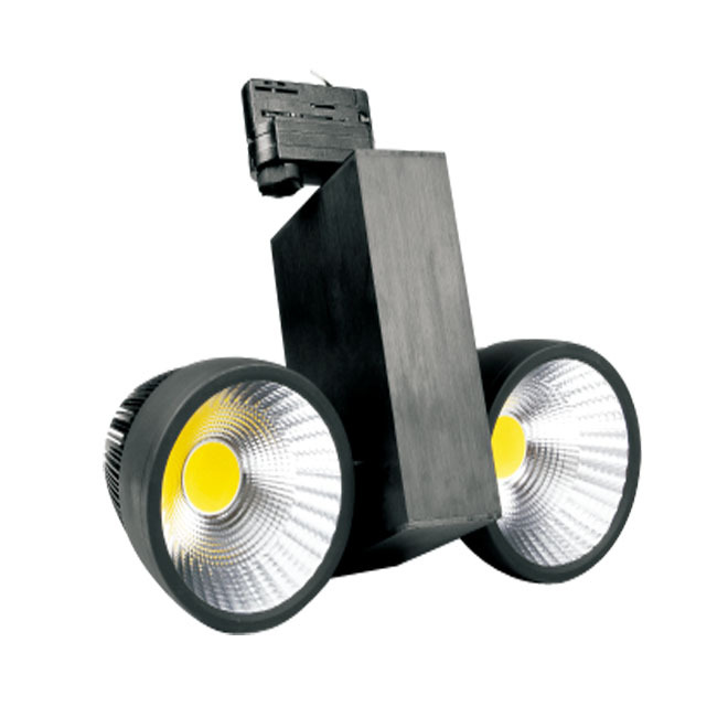 Professional Manufacturer Epistar chips 2*10W COB LED Tracklight