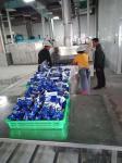 2200 Kgs/Hour 2500kgs/Hour Cryogenic Nitrogen Tunnel Freezer Seafood