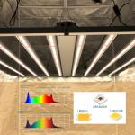 2.5µMol/J 1000 Watt Indoor Grow Lights