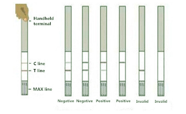 Nitrofuran SEM Food Safety Rapid Test Kit Strip For Tissue 96 Tests/Kit 0.5 Ppb