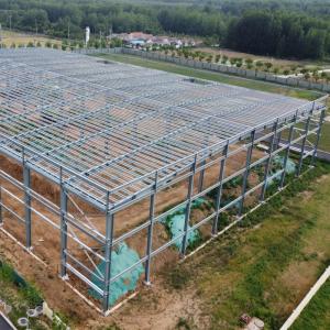 China 50-Year Painting Prefabricated Steel Frame Buildings for Agriculture wholesale