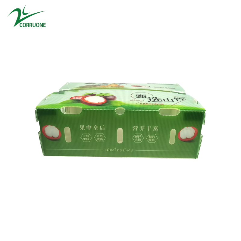 PP Corrugated Plastic Box for Vegetable and Fruit Box Corn broccoli and Agriculture Packing box