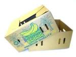 Corrugated Board Banana Carton Box