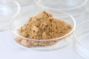 China Glucoamylase Beverage Enzyme Improve The Fermentation Degree wholesale