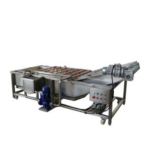 China Industrial Fresh Dry Dates Vegetable And Fruit Washing Machine wholesale
