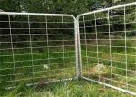 Oval Tube 40mm*80mm & 30mm*60mm Galvanized sheep panels animal fence sheep farm