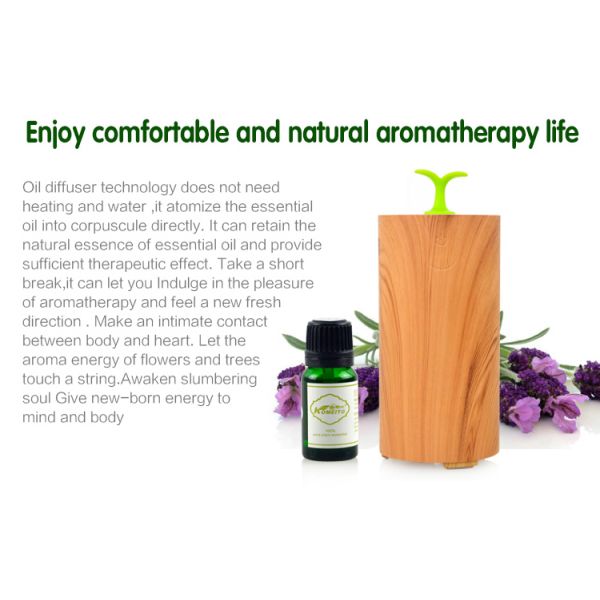 Wood Grain 10ml Car Aroma Diffuser DC5V RoHS Certification
