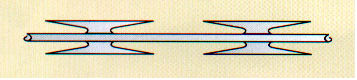 Hot dipped galvanized concertina military barbed wire
