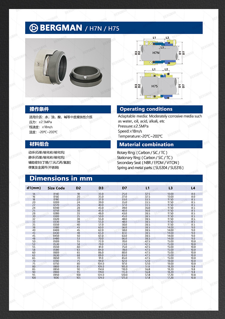 H7N H74 25mm-100mm G60 G4 G6 G9 G13 G16 BS Bo BP Pump Mechanical Seal