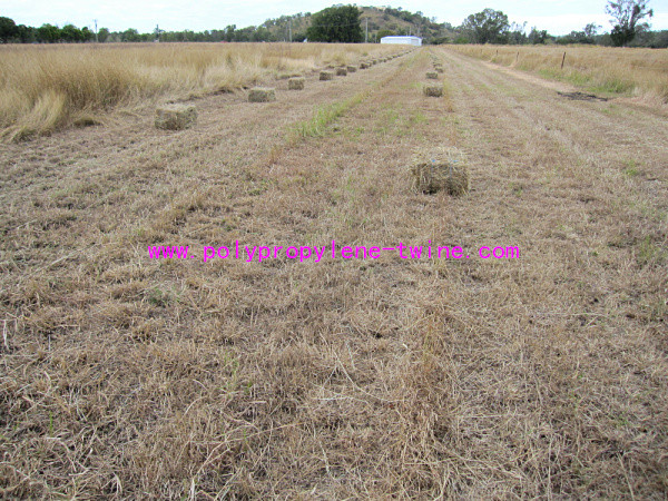 Professional Twisted Hay Baling PP Baler Twine Customized Several Colors
