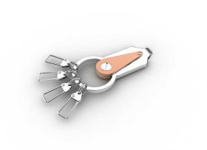 China Tagor Jewelry Top Quality Trendy Classic Men's Gift 316L Stainless Steel Key Chains ADK75 wholesale
