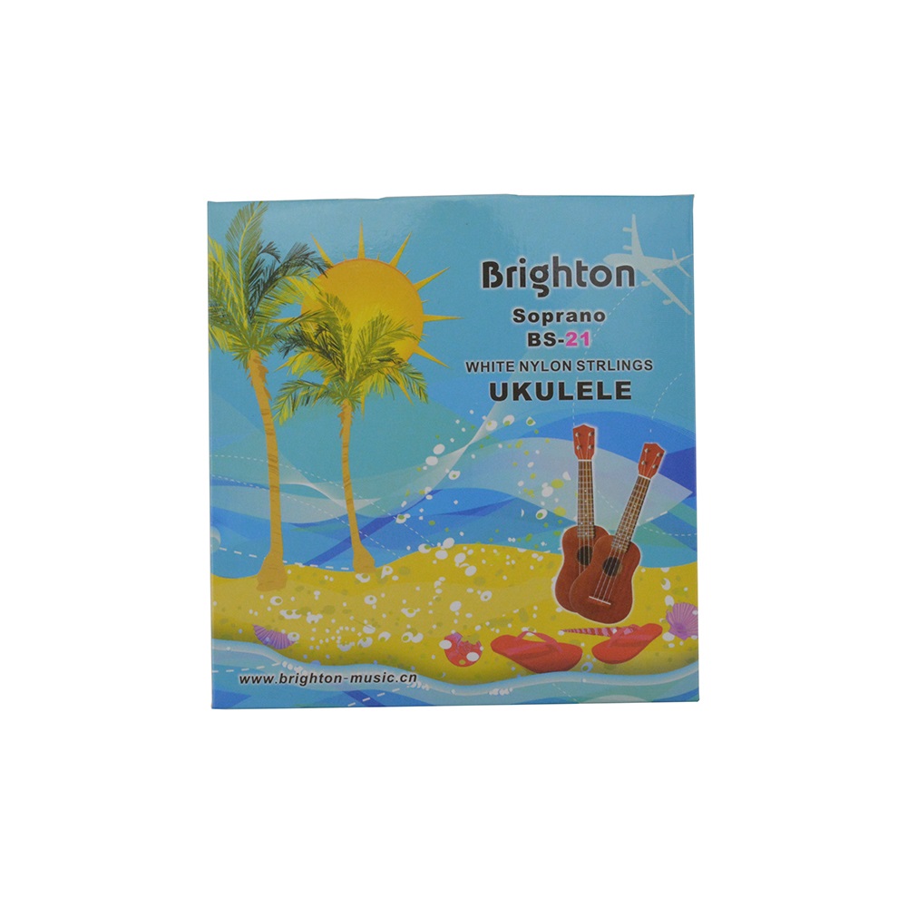 BS-21 electric guitar strings in bulk Wholesale electric guitar string in bulk classical guitar strings