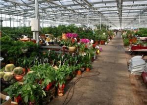 China Beautiful Appearance Garden Glass Greenhouse Large Ventilated Area Shouguan wholesale