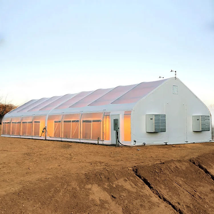 Auto Blackout Custom Fully Light Deprivation Agricultural Mushroom Greenhouse