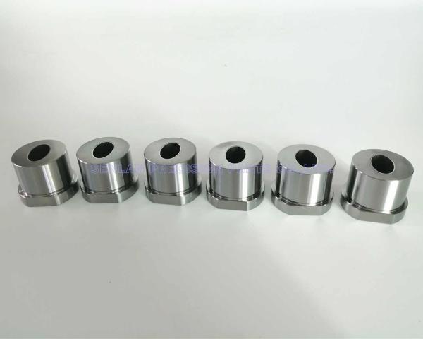 STAVAX ESR Plastic Mould Parts Sleeve Bushing Mirror Polished Mold Core