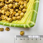 Healthy Salted Organic Dry Roasted Peanuts BRC organic roasted chickpeas