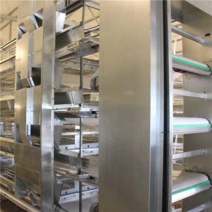 China Mechanical Livestock Farming Equipment , Manure Removal Battery Cage System wholesale