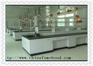 China Anti Chemical Acid Alkali School Lab Furniture Bench Bearing 500kg wholesale
