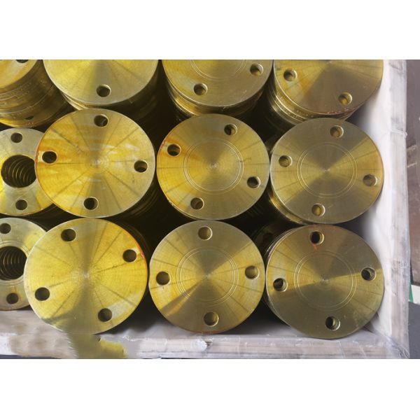 Dn15-Dn1200 Stainless Steel Threaded Pipe Flange 300lbs