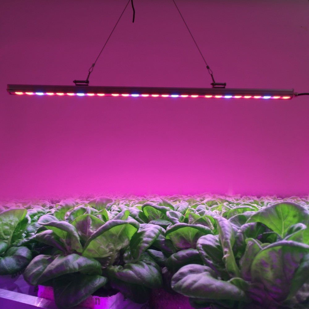 Growers Republic 960w Dimmable Led Grow Lights Uv + Ir 6 Bars Indoor Farming Greenhouse