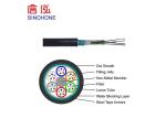 Buried Outdoor Fiber Optic Cable Long Delivery Length For Core Network