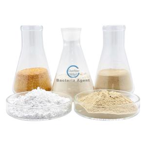 China ETP Chemicals Microbes For Sewage Treatment Powder Bacteria Agent wholesale