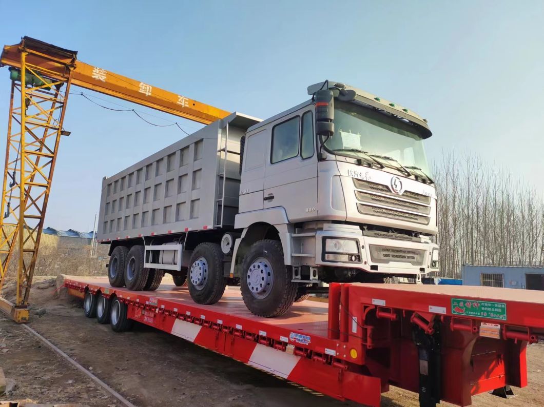 Shacman F3000 6X4 10 Wheels Dump Truck in Different Color From China