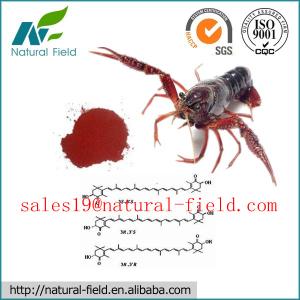 China astaxanthin manufacturer with competitive price and best service CAS:472-61-7 wholesale