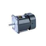 4rk30w 80mm Variable Speed Ac Motor 50/60hz Micro Small