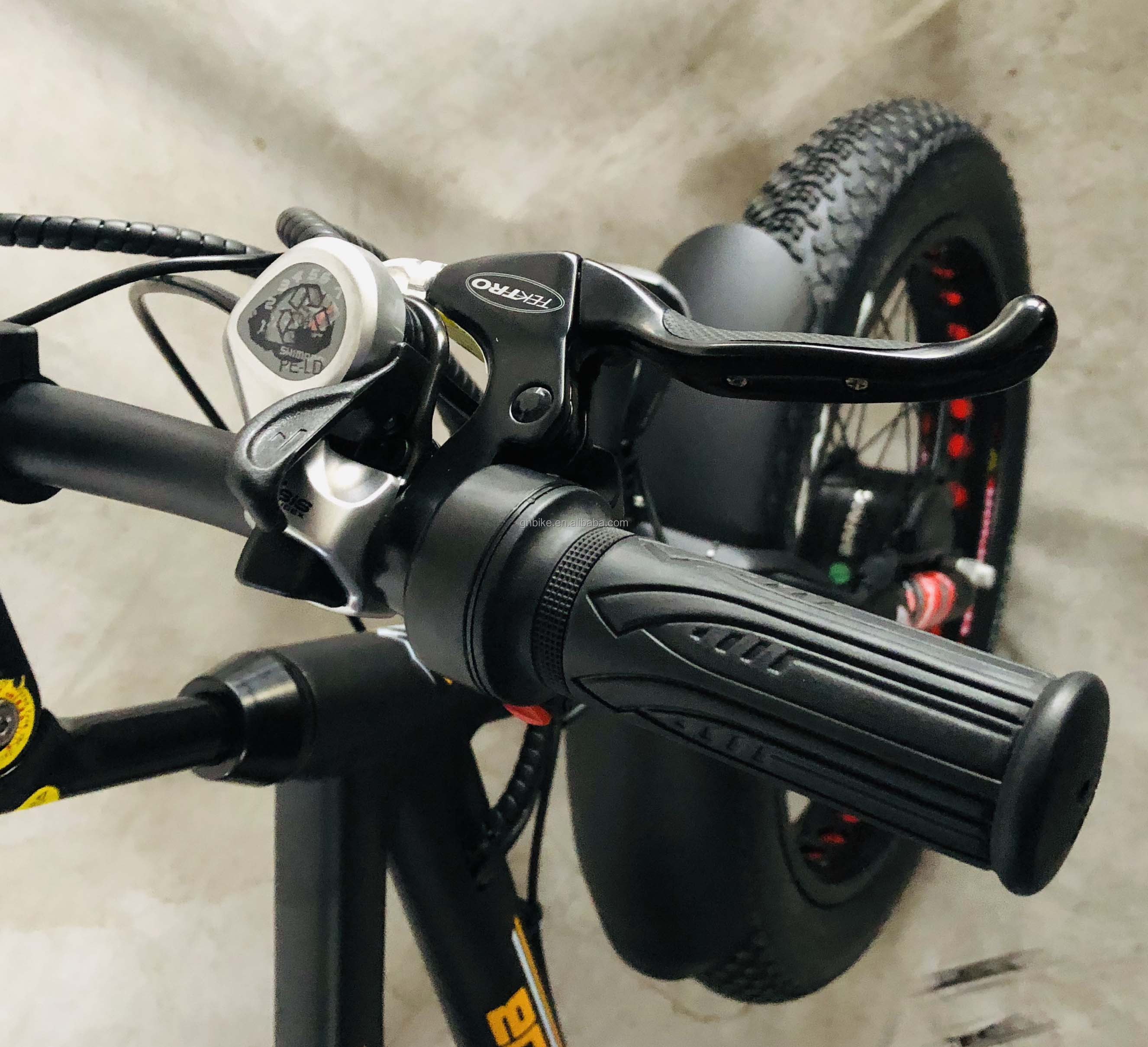 Down Tube 48V 750W 17AH Lithium Battery 45KM/H bafang Front Motor Electric Passenger Tricycle