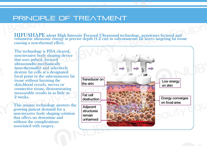 HIFUSHAPE body slimming machine best fat removal procedure