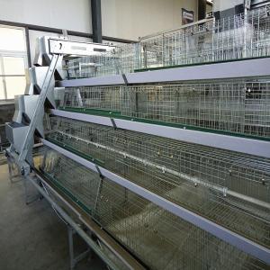 China Poultry House Layer 180 / 240 Baby Chick Cage A Type With Feeders wholesale