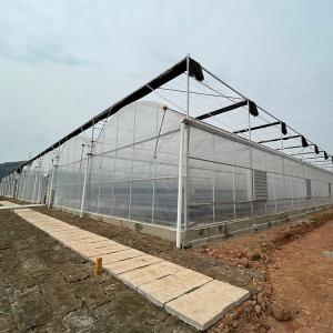 China Agriculture Plastic Film Tunnel Greenhouse High Tunnel Multi Span wholesale
