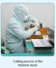 Detection Total Antibody Colloidal Gold Rapid Test To Treponema Pallidum In Human Serum Or Plasma